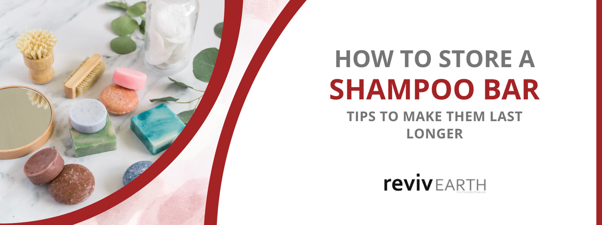 How to Store Shampoo Bars Properly and Make Them Last Longer