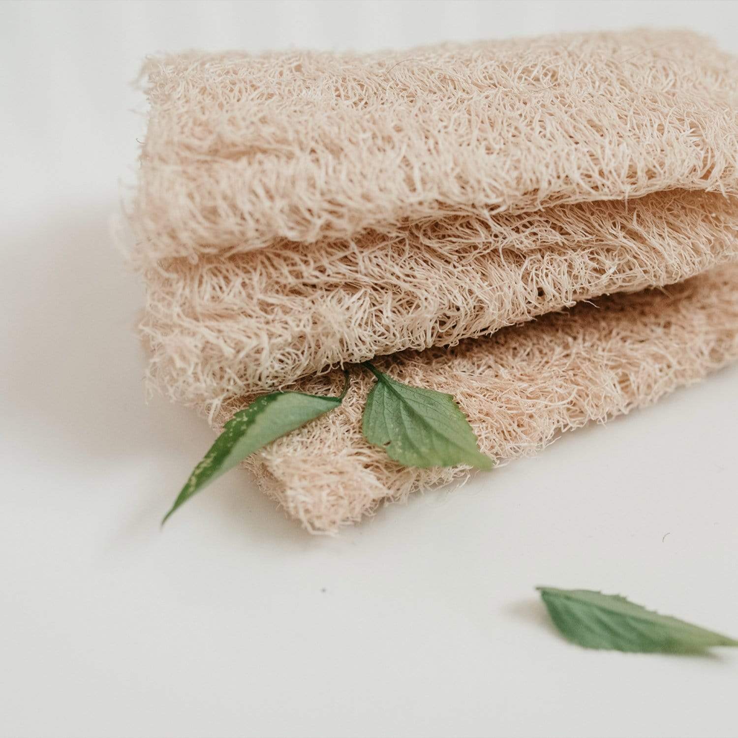 Three loofah sponges with green leaves on a white background