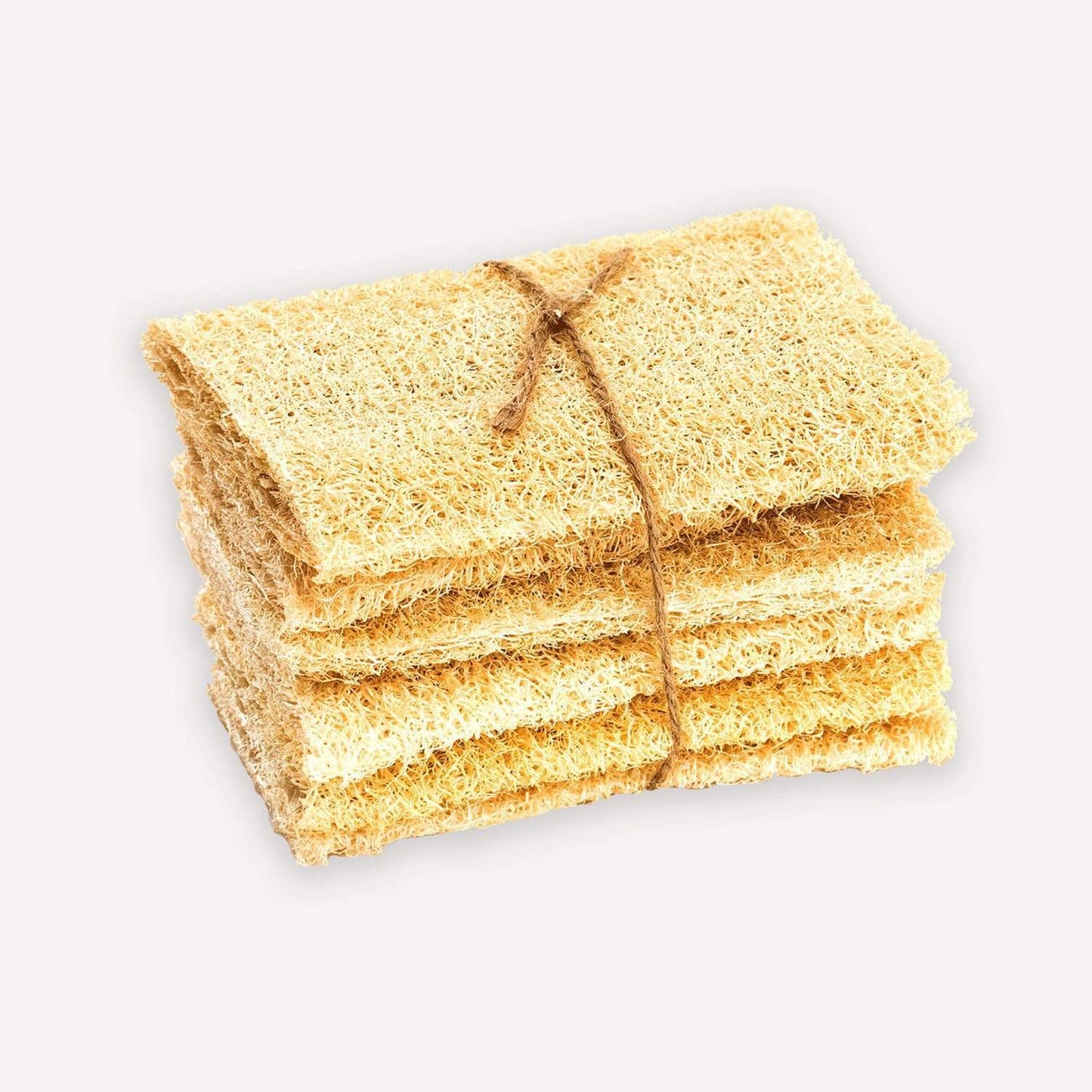 Stack of natural sponges tied with a string on a light gray background