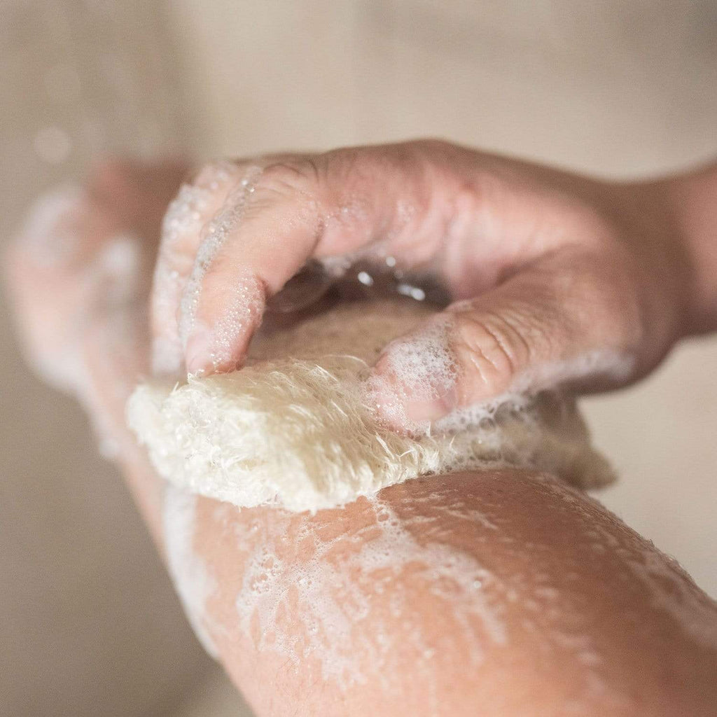 Close-up of a person using a natural loofah sponge to lather a bar of soap, showing the fibrous texture and soapy suds against skin.