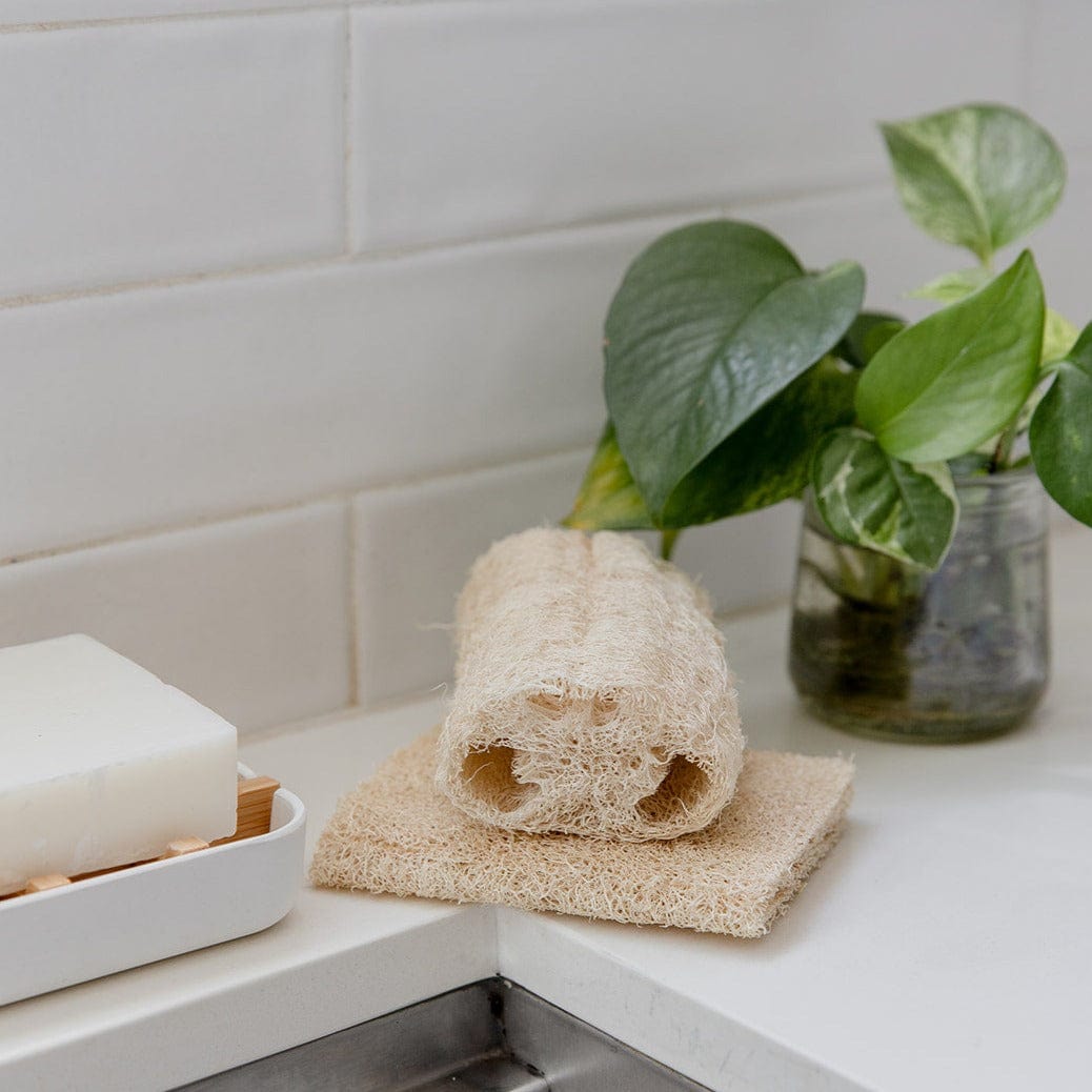 Natural loofah sponge and soap on a kitchen counter with a plant in the background