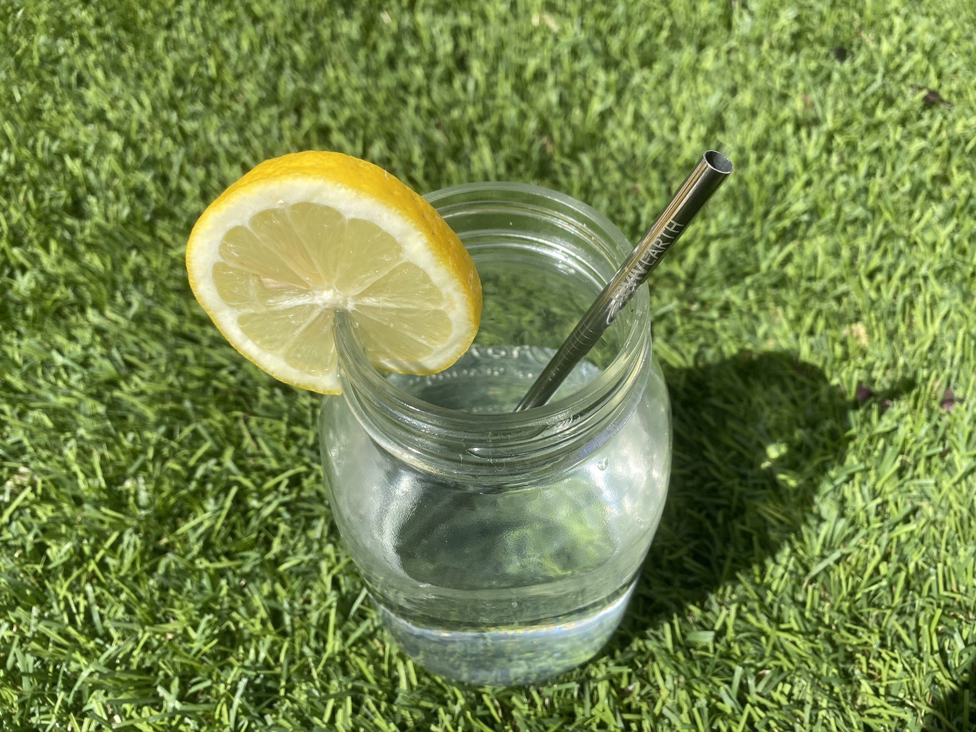 A straw made of stainless steel inside a glass of water with a slice of lemon.